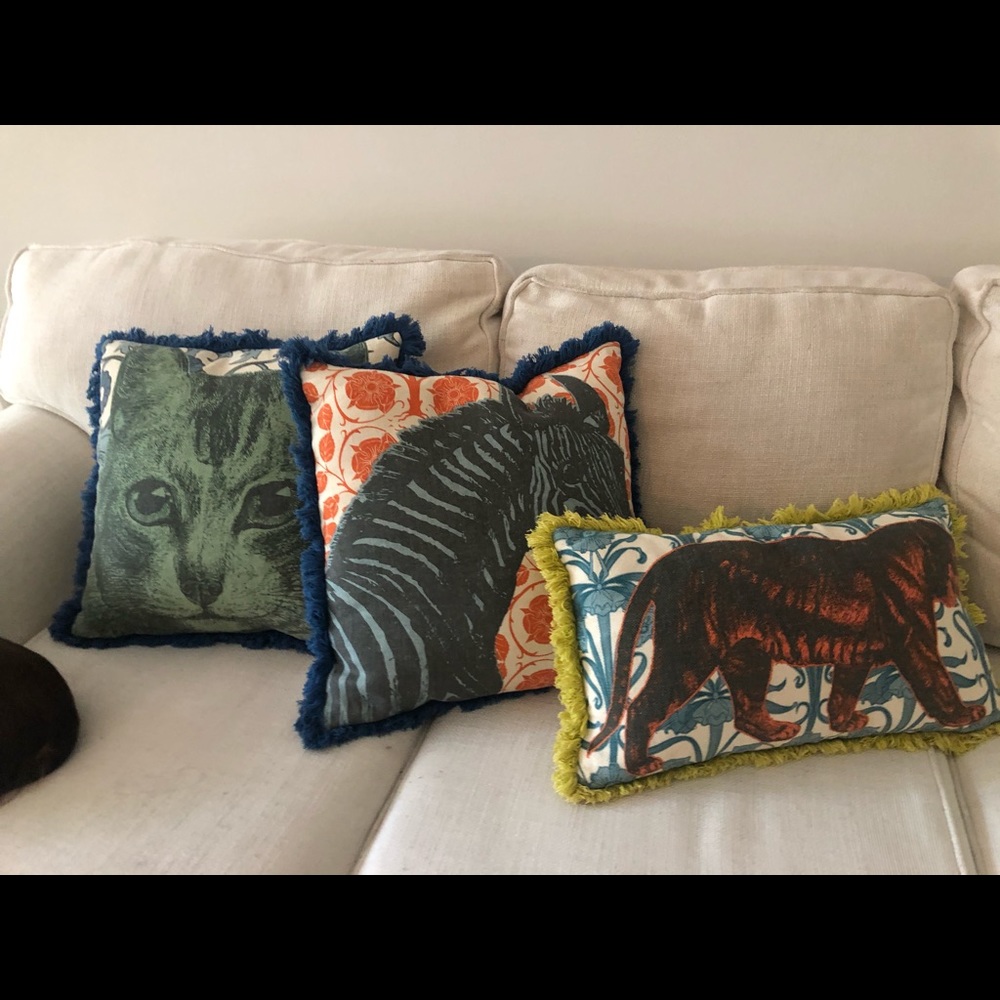Bold Artsy Set of Pillows (set of 3)